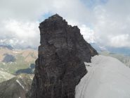Lo Svizzero Hillehorn
