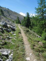 Sul sentiero del canale