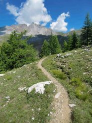 Sul sentiero del canale