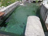 L'acqua trasparente del rio dell' Alpuggio