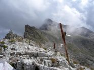 Colle Rui e Cervet nella nebbia