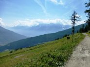 nel tratto dal rifugio verso alpe Ars