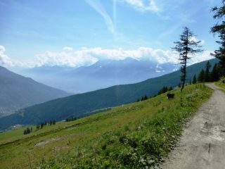 nel tratto dal rifugio verso alpe Ars