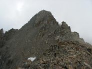 la Michelis dalla Dante