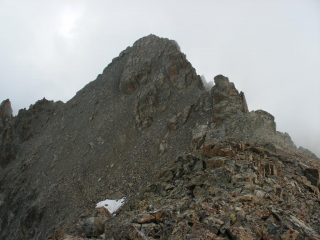 la Michelis dalla Dante