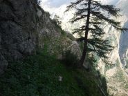 appena aggirato il canalone ripido