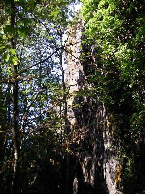 si intravede la parete dal bosco