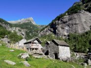 Alpe Calnegia