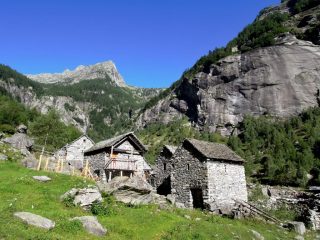 Alpe Calnegia