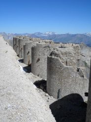 Torri