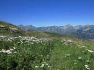In discesa verso Monesi