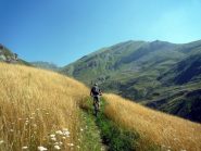 nel vallone Piconiera