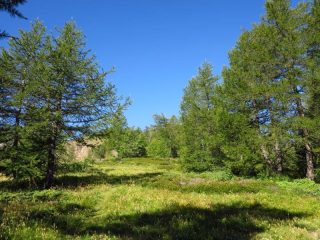 In salita verso la Colla Rossa