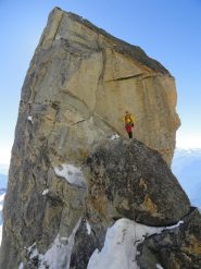 Doppia dopo l'Androsace