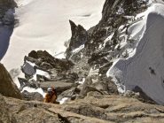 scalando sull'Androsace