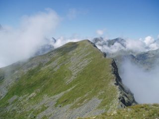 punta telcio vista da quota 2912