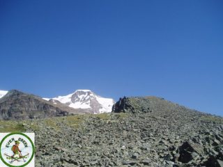 puntina a q. 2980 ca.