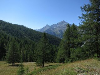 Sopra Laval