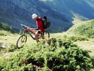 Spingendo verso il Citrin