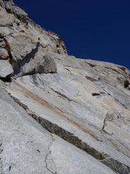 forse variante Gobbi