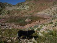 il più piccolo dei Laghi Sup. malinvern, sullo sfondo il colletto da cui sono arrivato