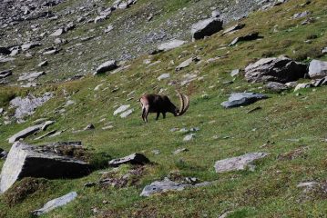 Non è vero che eravamo solo in due al Pousset …..