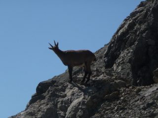 sotto la cima