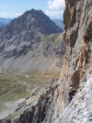 Meyna forewer wall