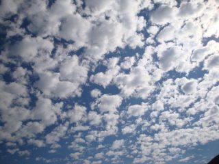 Cielo a pecorelle...