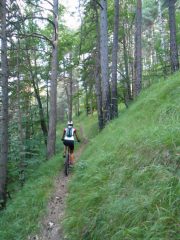 bel percorso nel bosco