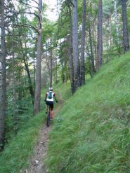 bel percorso nel bosco