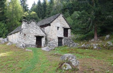 Alpe Boschetto