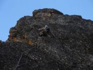 La bella placca dell'utlimo tiro