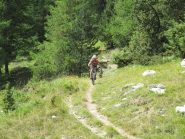 tratto stupendo all'ingresso nel bosco