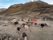 Campo Huyhuash nel gelo del mattino