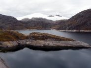 La testa dello pterodattilo nella laguna Viconga
