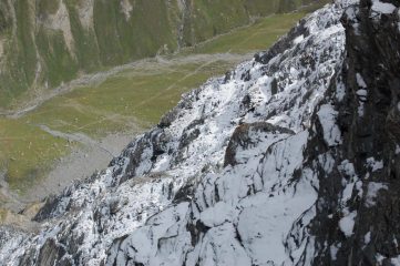 la parete nord vista dalla cima