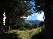 Colla di Carnino