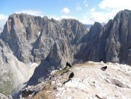 sulla vetta in compagnia