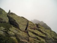 aaltro breve tratto attrezzato