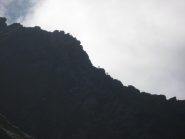 camosci in cresta