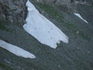 camosci su ultimi nevai