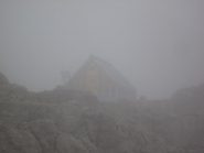 Boarelli nella nebbia