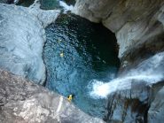 il dinosauro, il primo gran salto