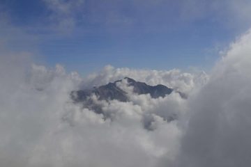 La Rosa dei Banchi emerge dalle nebbie