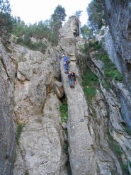 nella parte bassa