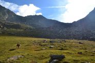 verso il Colle di Salza