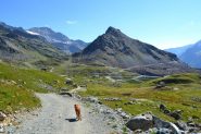 verso il Gabiet