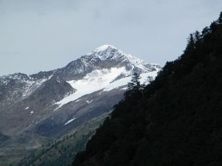 Il Similaun visto dai pressi del castello