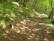 Vecchia pietra migliare e percorso iniziale